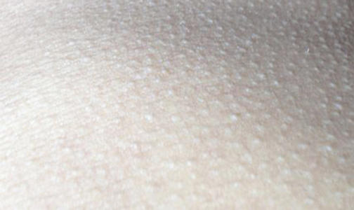 身体乳可以涂身体的哪些地方